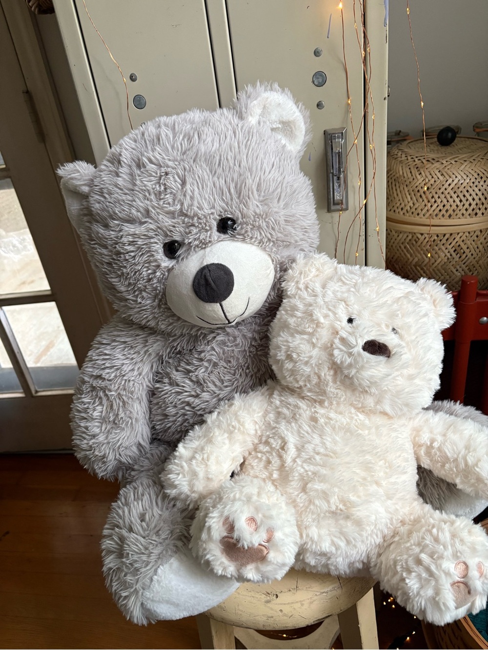 Bear Bundle